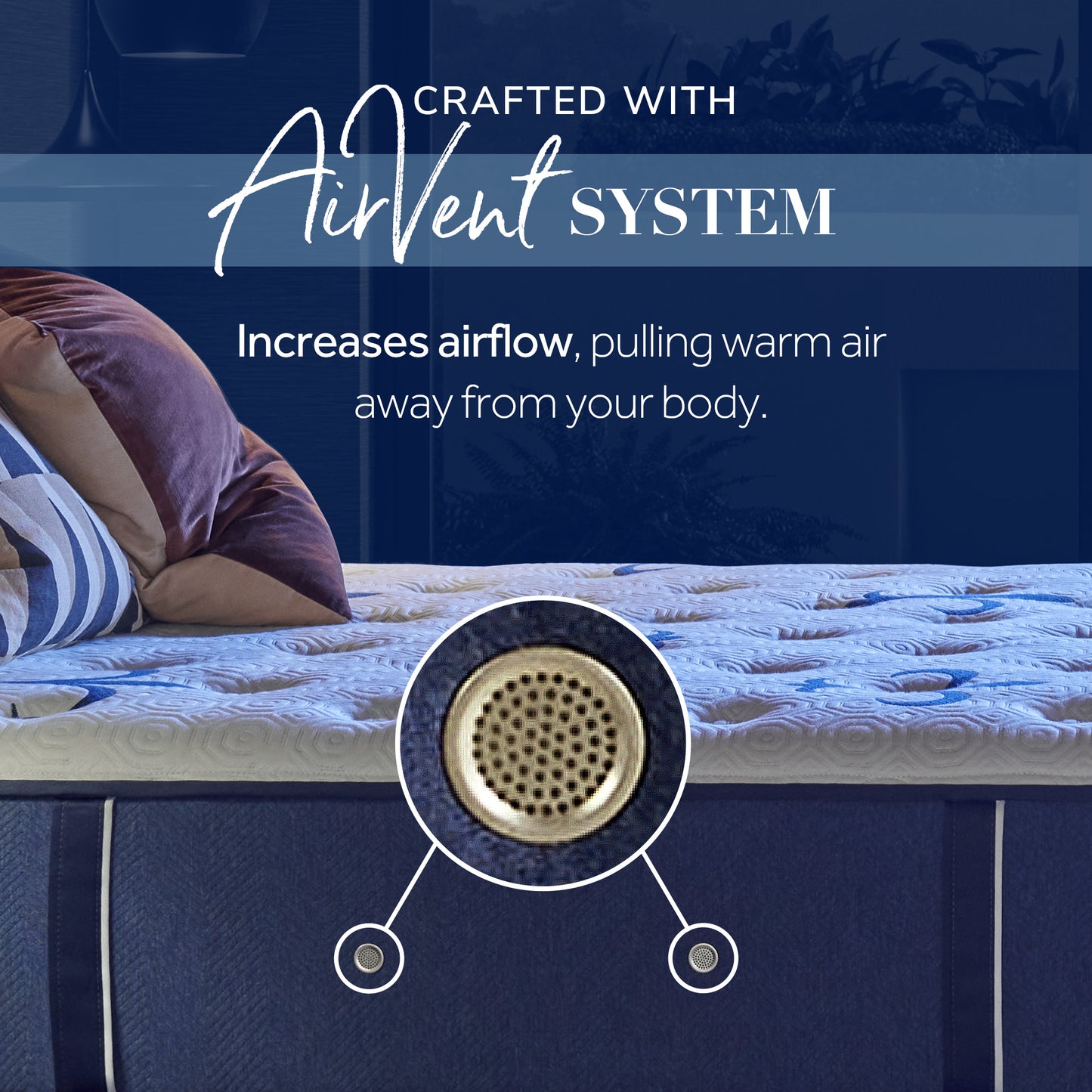 Stearns & Foster Studio Collection